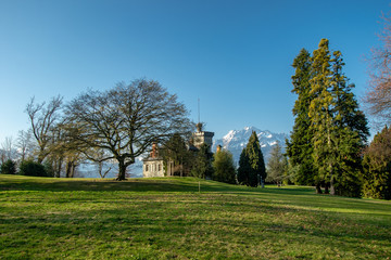 Fototapeta na wymiar Park in Luzern, switzerland
