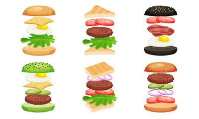 Burger And Sandwich Ingredients Isolated Vector Illustrated Collection