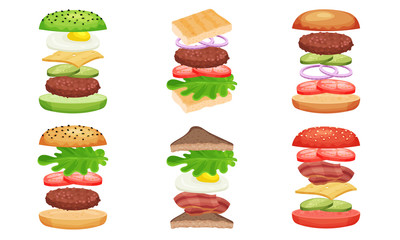 Burger And Sandwich Ingredients Isolated Vector Illustrated Collection