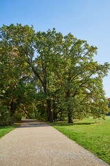 Herbstliches Panorama mit heller Sonne, die durch die Bäume scheint in Berlin im Treptower Park