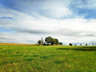 Kleine, schöne Baumgruppe auf Wiese und Feld