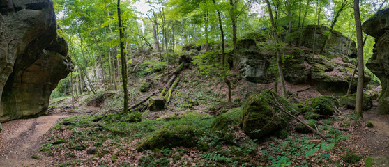 wild green European forest and sandstone canyons