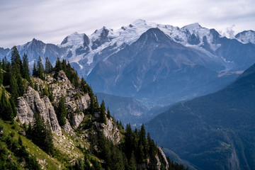 Chaine du mont blanc, falaise, sapin, neige