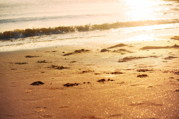 Golden schimmert der Sand am Ufer während die Sonne untergeht