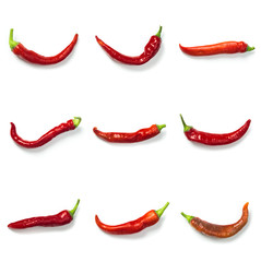 Set of Red chili pepper isolated on a white background. Healthy food. Fresh vegetables.