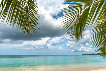 Tranquil Coastline of Tropical remote island on cloudy day. This dream vacation spot comprises coconut trees, natural untouched beach with shallow water of turquoise color, clear Horizon & cloudy sky.