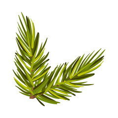 Lively Green Spruce Twig Vector Illustration Isolated On White Background