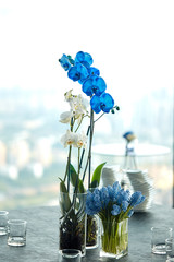 Blue and white orchids in a vase on the table, a beautiful arrangement of flowers in the office.