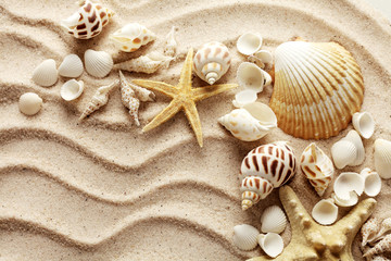 Fototapeta na wymiar seashells and sand