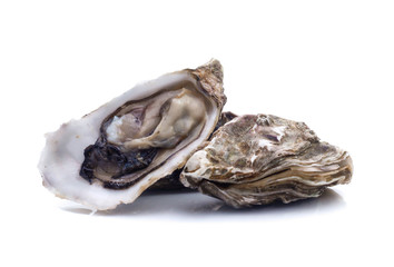 Fresh  oyster on white background