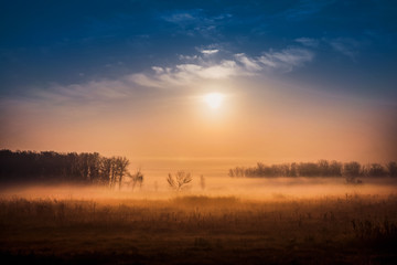 Morning fog over a field with trees in the countryside