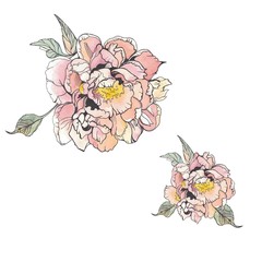 Peony hand-drawn watercolor and liner on a white background for printing on fabrics and paper. Isolated peonies illustration element.
