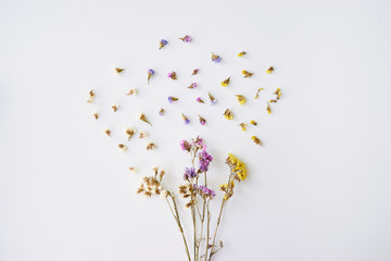 Bouquet of dried wild flowers on white table background top view.