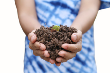 Agriculture. Farmer and nature baby plant in hands.