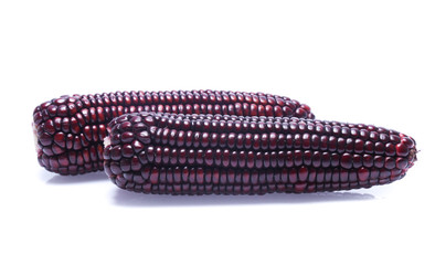 Black Corn on white background
