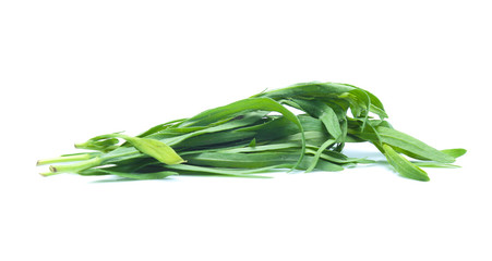 Tarragon herbs isolated on white