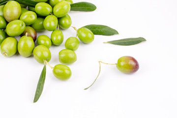 Green olive on the white background