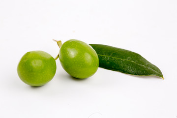 Green olive on the white background