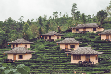 Ban rak thai in Mae hong son,Thailand