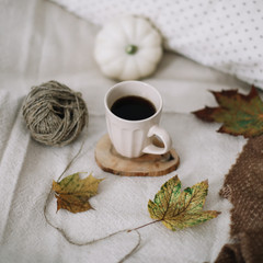Autumnal decoration and composition. Autumn, fall, halloween, thanksgiving day concept.