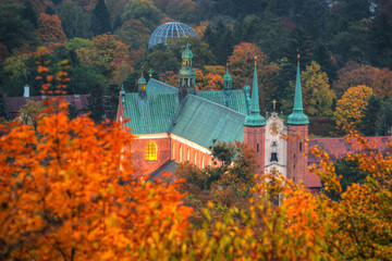 Fototapeta Cathedral in Gdansk Oliwa in autumnal scenery, Poland obraz