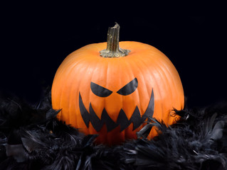 Creepy Halloween Pumpkin on a black background stock images. Halloween pumpkin in black feathers. Grinning pumpkin photo. Scary halloween pumpkin stock images. Halloween pumpkin with spooky face