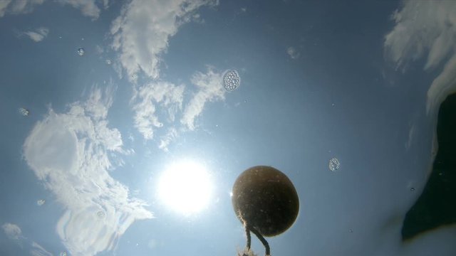 Underwater view of protective floats on the rope on the beach in the water