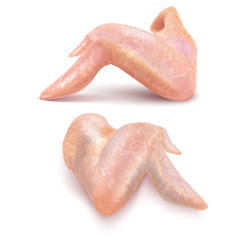 Isolated Chicken Wings Set in Realistic Style