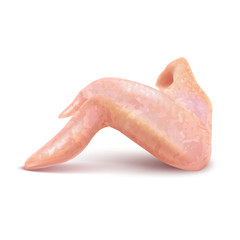 Isolated Chicken Wing on White Background in Realistic Style