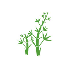Green bamboo Vector illustration. Green bamboo background