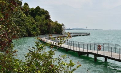 Beautiful boardwalk on Singapore island: Pulau Ubin Chek Jawa Boardwalk