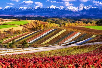 北海道・美瑛町 秋の四季彩の丘の風景