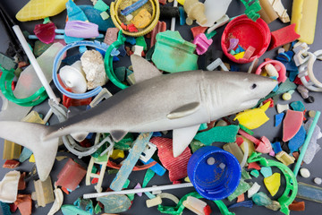 Toy shark over microplastics collected on the beach. Plastic pollution concept.