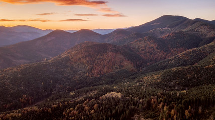 aerial veiw of mountains and colorful forest on sunset. amazing autumn background. bird's eye, drone shot