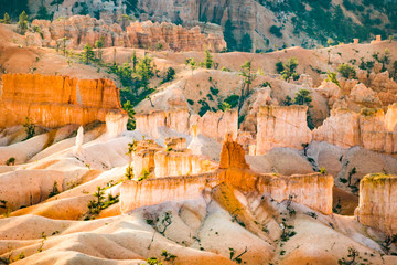 Bryce Canyon with magnificent Stone formation like Amphitheater, temples, figures in Morning light