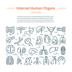 Large set of linear vector icons of human internal organs with a place for text.