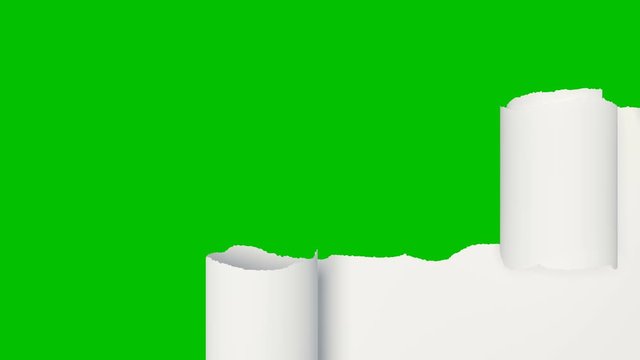 White Sheet of Paper Ripping Into Horizontal Stripes that Rolled Up Opening the Screen. Beautiful 3d Animation of Abstract Paper Breaking on Green Screen. Alpha Mask. 4k Ultra HD 3840x2160.