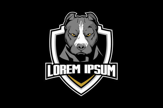 calm pitbull head with shield logo template