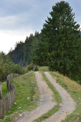 country road in the countryside