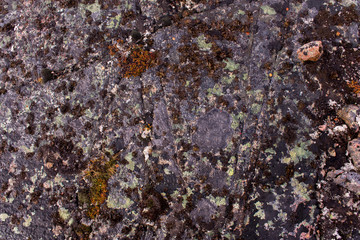 texture of rock