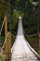 Fototapeta premium bridge in the forest