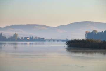 Golden autumn trees and lake. Autumn landscape, sunny morning.