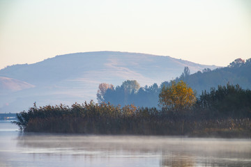 Fototapeta premium Golden autumn trees and lake. Autumn landscape, sunny morning.
