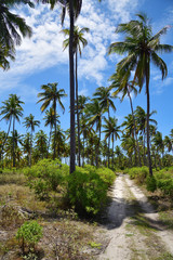 Fototapeta premium African road, Zanzibar, Tanzania, Africa