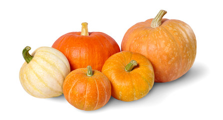 A heap of pumpkins isolated on white background. - obrazy, fototapety, plakaty