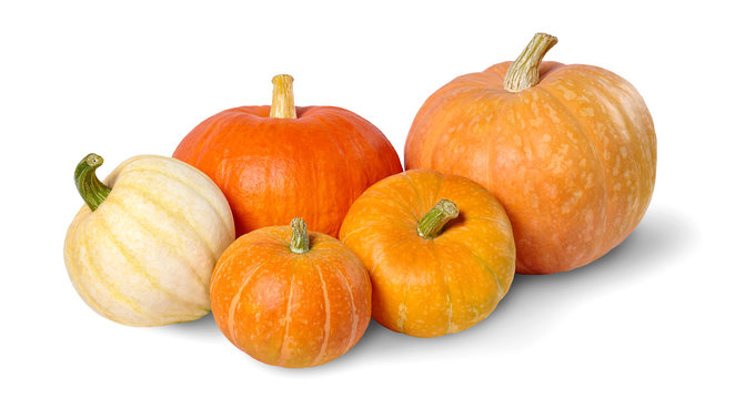 A heap of pumpkins isolated on white background.