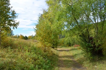 Fototapeta na wymiar Beautiful landscape of the beginning of autumn on the river bank.