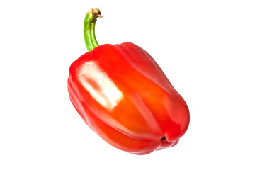 One tasty red fresh raw whole bulgarian pepper full of vitamins for cooking delicious salad or other food on breakfast or dinner isolated on white background without shadow
