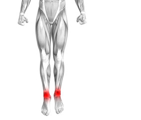 Conceptual ankle human anatomy with red hot spot inflammation or articular joint pain for leg health care therapy or sport muscle concepts. 3D illustration man arthritis or bone osteoporosis disease