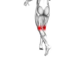 Conceptual knee human anatomy with red hot spot inflammation or articular joint pain for leg health care therapy or sport muscle concepts. 3D illustration man arthritis or bone osteoporosis disease